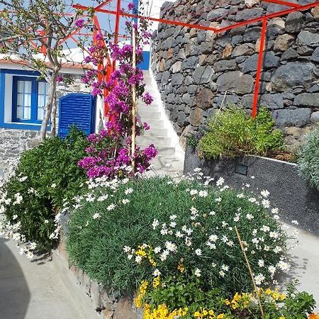 Casa Villa Dinastia Sotao Y Casa Villa Dinastia Miramar 里贝拉布拉瓦 外观 照片