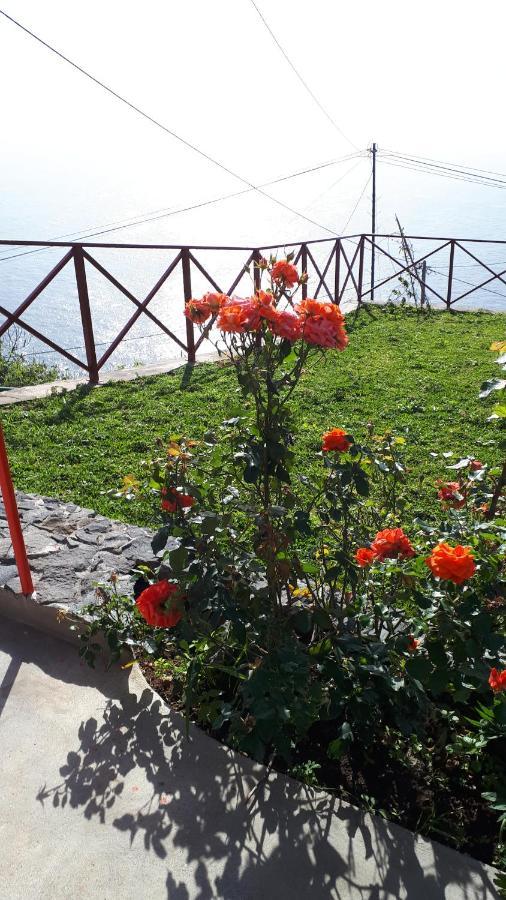 Casa Villa Dinastia Sotao Y Casa Villa Dinastia Miramar 里贝拉布拉瓦 外观 照片