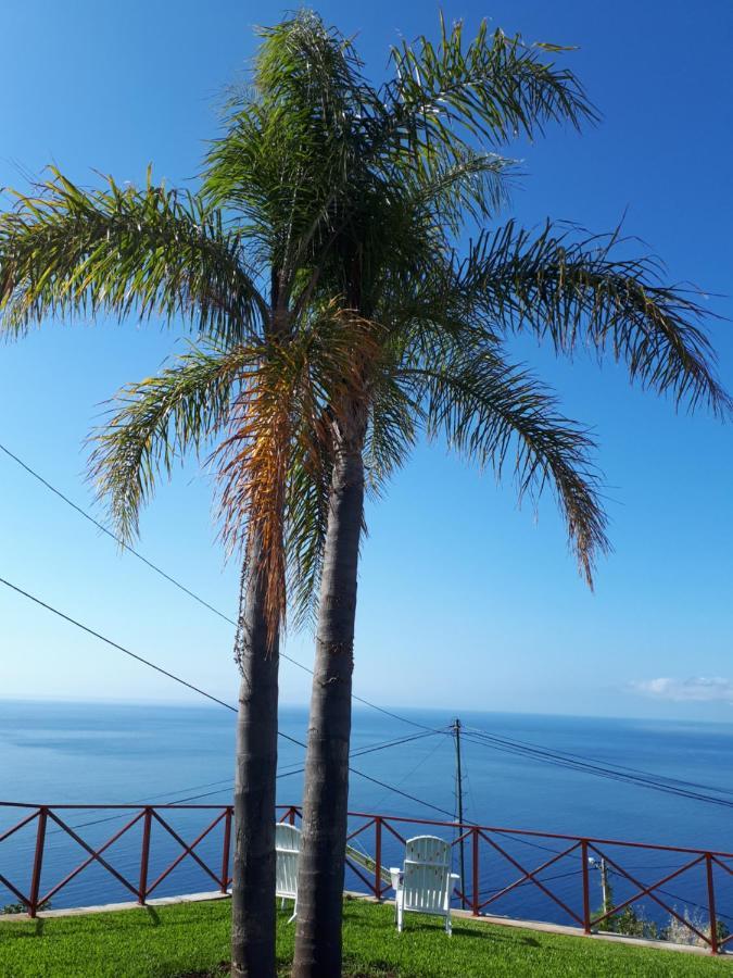 Casa Villa Dinastia Sotao Y Casa Villa Dinastia Miramar 里贝拉布拉瓦 外观 照片