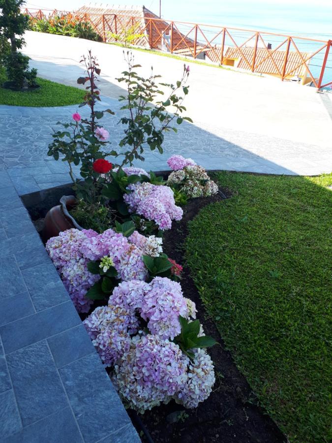 Casa Villa Dinastia Sotao Y Casa Villa Dinastia Miramar 里贝拉布拉瓦 外观 照片