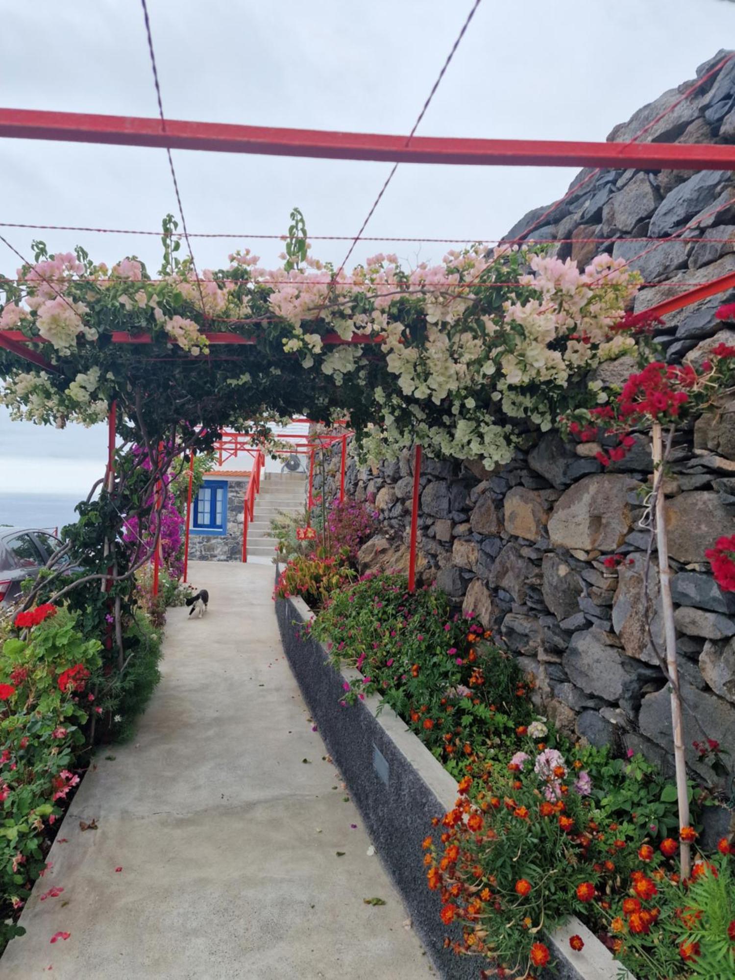 Casa Villa Dinastia Sotao Y Casa Villa Dinastia Miramar 里贝拉布拉瓦 外观 照片
